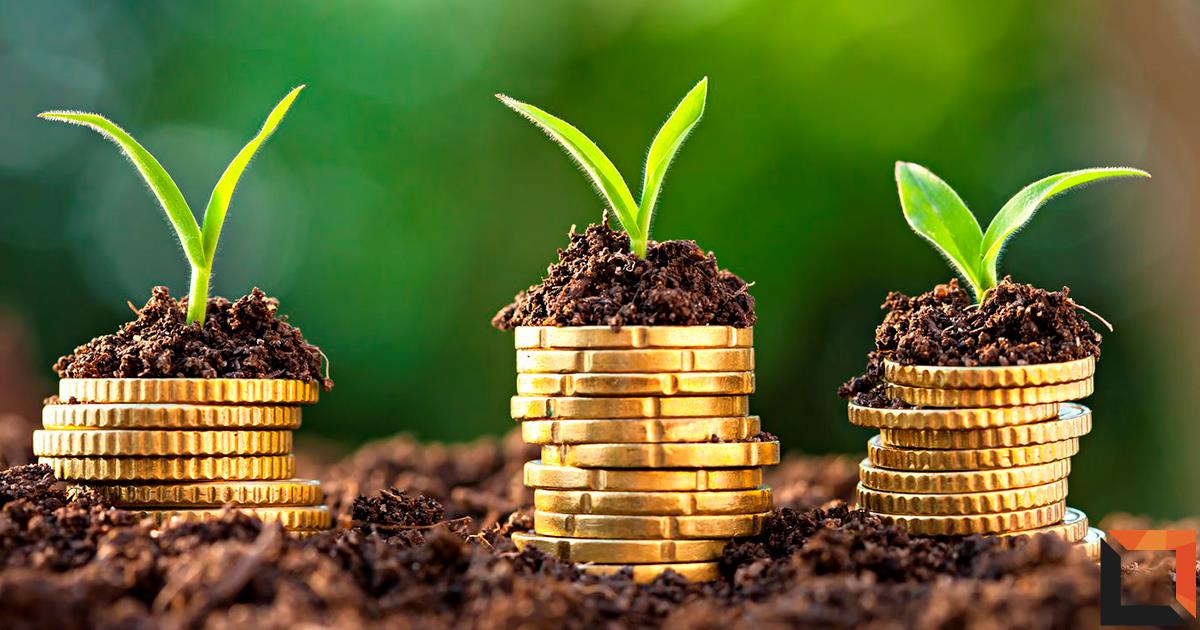 Apoios financeiros para pomares de medronho: consultoria especializada para o ajudar a obter fundos comunitários e impulsionar o seu projeto. Saiba mais.