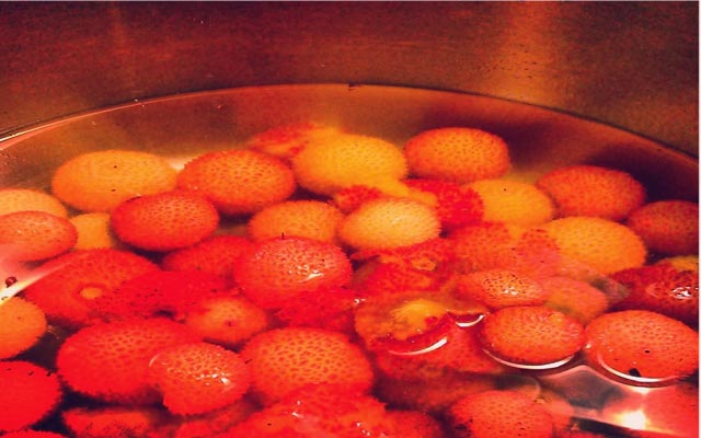 medronheiros em calda de açucar em recipiente de inox para fazer licor de medronho. Especialistas e consultores para fazer aguardente de medronho de elevada qualidade