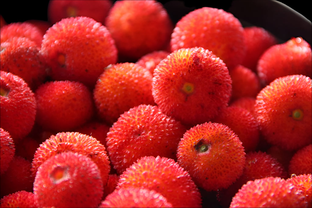 conjunto de muitos frutos medronhos vermelhos apanhados e num recipiente