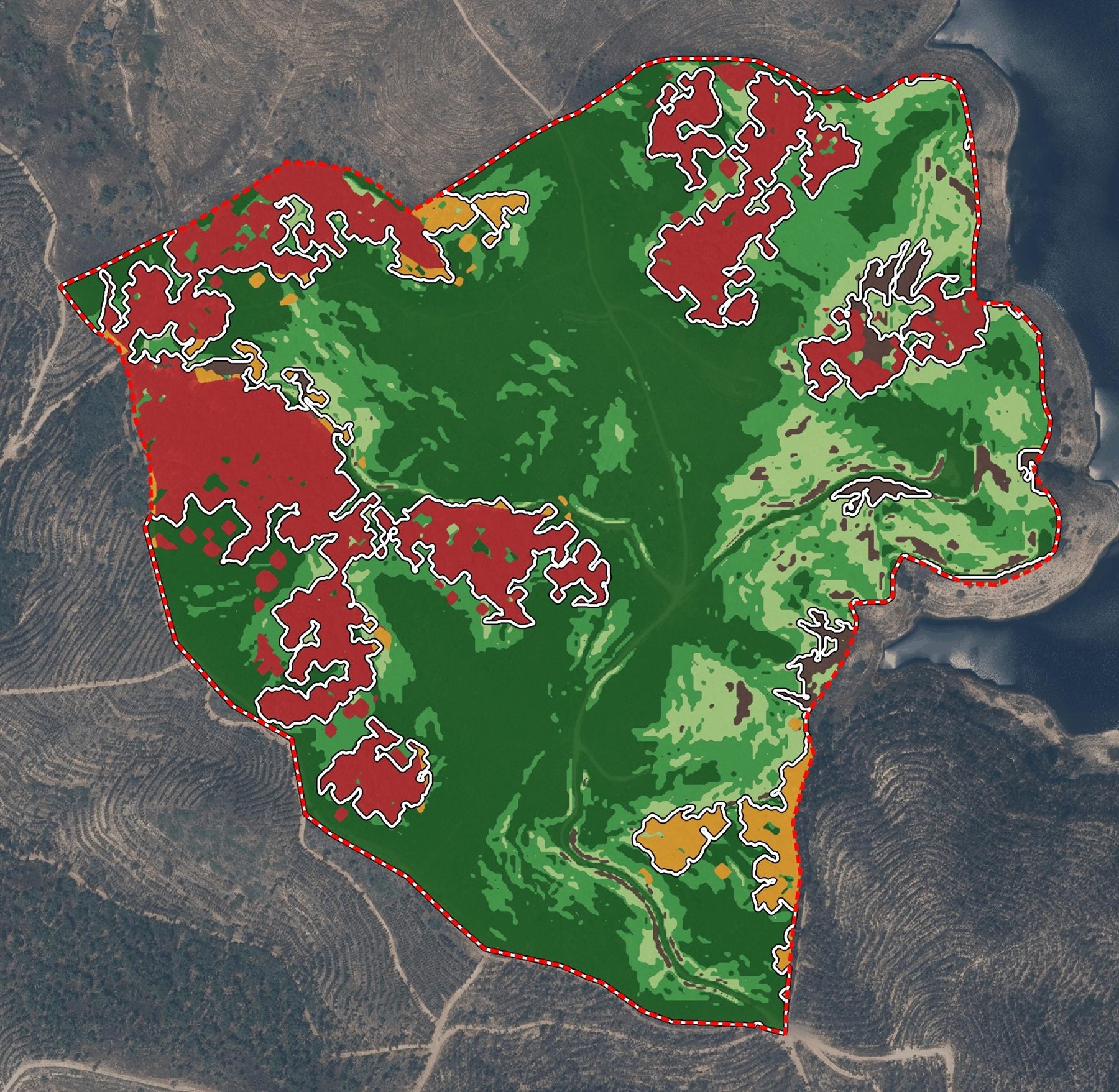 Mapa de áreas potenciais de plantação de medronheiros sobre ortofotomapa