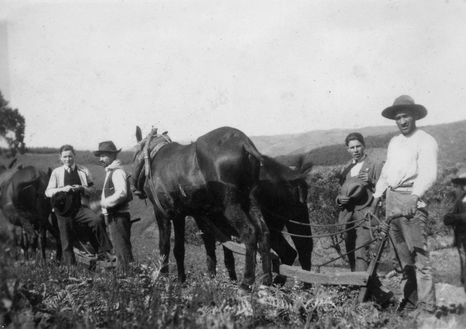 foto em 1945 de lavradores com burros e alfaias que estavama cultivar a terra em santa-clara-a-velha odemira portugal